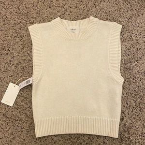 NWT Aritzia Alps Sweater Vest